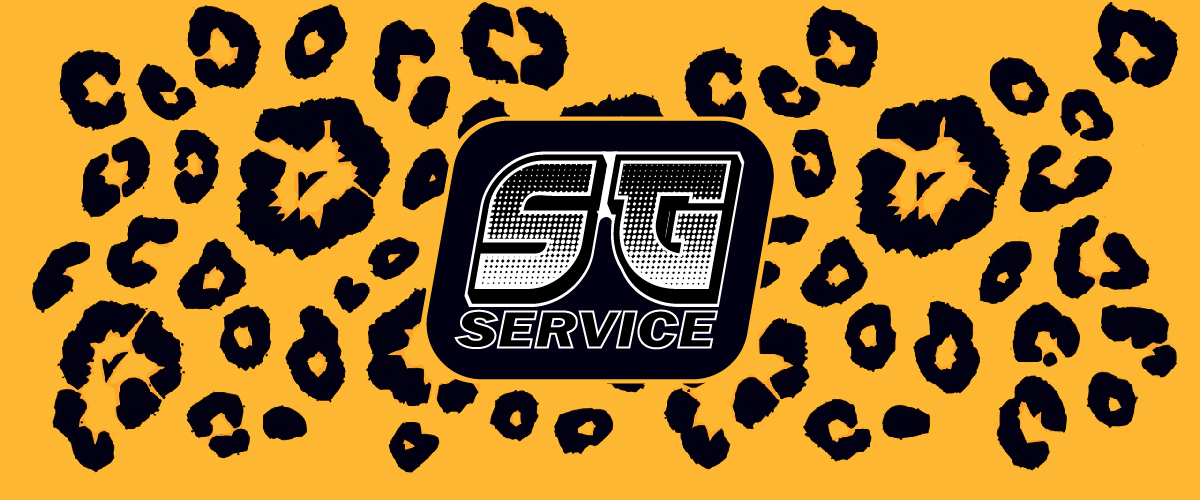 SG Service / Tuulilasin Vaihto